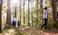 Bewusstsein stärken im Wald © Frederick Sams, Landkreis Lindau