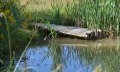 Steg am Weiher Kräutergarten