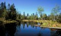 Gemeinde Oberreute im Westallgäu Moorweiher