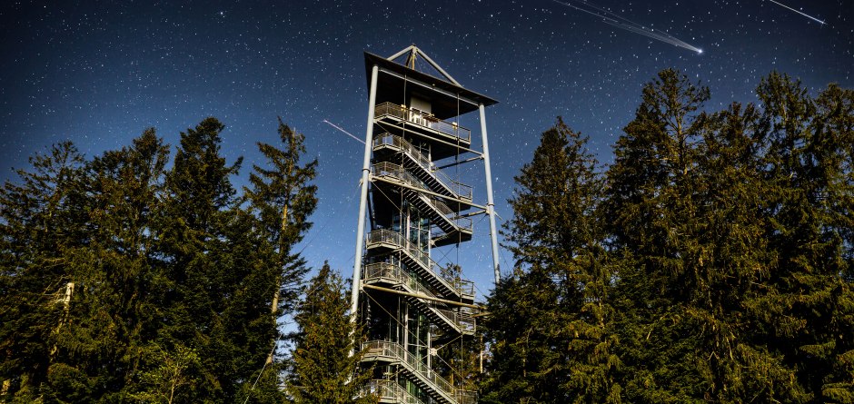 Der Skywalkturm, umgeben von riesigen Fichten, steht imposant in der Nacht, im Hintergrund ist der Himmel mit Sternschnuppen zu sehen... &copy; Waldwelt Skywalk Allg&auml;u