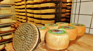 Allg&auml;uer K&auml;sestra&szlig;e in der Sennerei K&auml;se mit B&uuml;rste