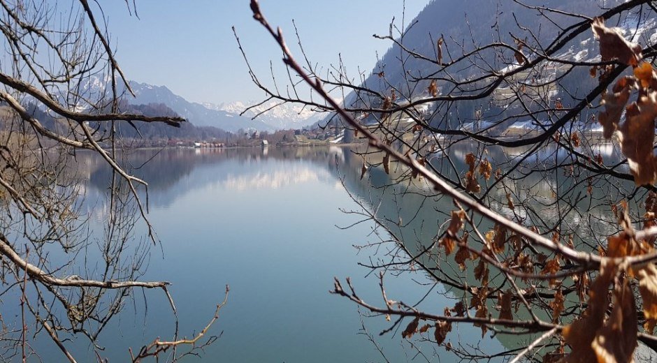In der Umgebung/ Alpsee © _changed => 14.12.2021 um 07:28 Uhr