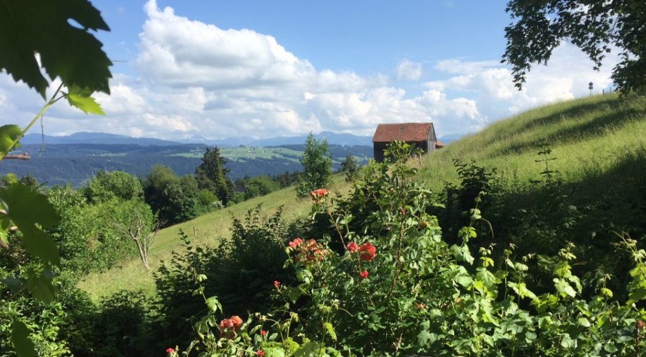 Ausblick Marienhaus © _changed => 16.09.2018 um 11:06 Uhr