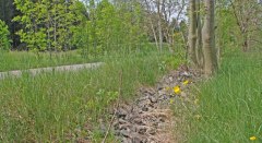 Radeln entlang der ehemaligen Bahntrasse © Allgäu GmbH, Gesellschaft für Standort und Tourismus Radeln entlang der ehemaligen Bahntrasse © Allgäu GmbH, Gesellschaft für Standort und Tourismus