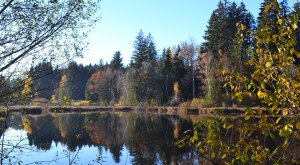 Waldsee in Lindenberg im Allg&auml;u &copy; Daniela Eger-Popp