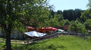 butterblume-biergarten-2