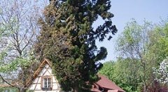 src_99043983-0.jpg © Outdooractive Redaktion