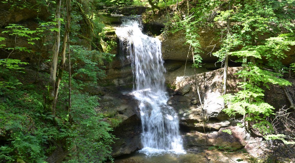 Hasenreuter Wasserfall Scheidegg &copy; Scheidegg-Tourismus