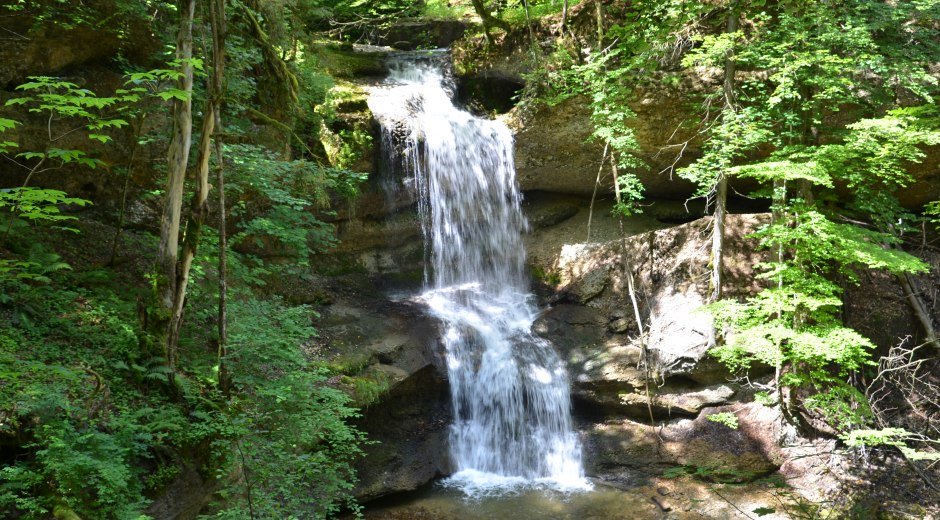 Hasenreuter Wasserfall Scheidegg © Scheidegg-Tourismus