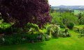 DJI_0228