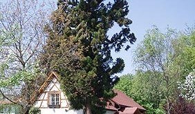 src_99043982-0.jpg © Outdooractive Redaktion