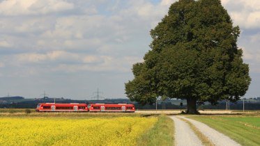Moorbahn f&auml;hrt durch die offene Landschaft &copy; Felix L&ouml;ffelholz