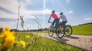 Radfahren inmitten von Natur im Landkreis Lindau (Bodensee) © Landkreis Lindau (Bodensee)