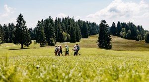 "Wald & Wiese" Premiumwanderweg bei Oberreute © Frederick Sams