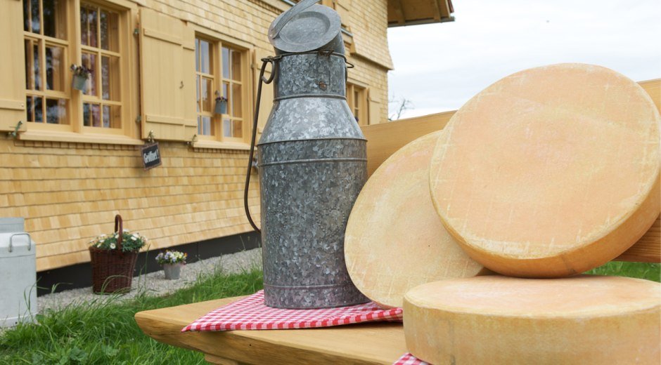 butterblume-kaeslaib butterblume-kaeslaib