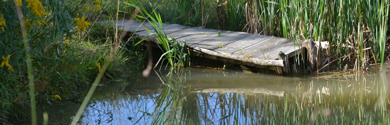 Steg am Weiher Kräutergarten