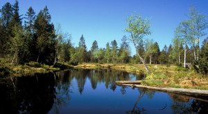 Gemeinde Oberreute im Westallg&auml;u Moorweiher