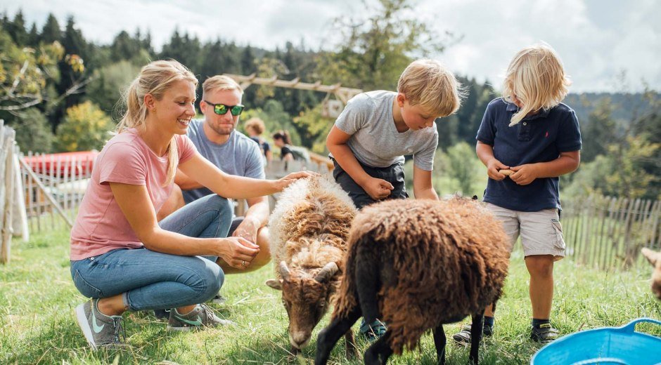 Ausflüge planen - begegnen Sie den Tieren im Westallgäu hautnah