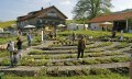 Kr&auml;utergarten Artemisia