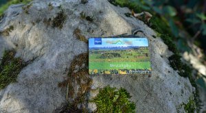 Allgäu Walser Card