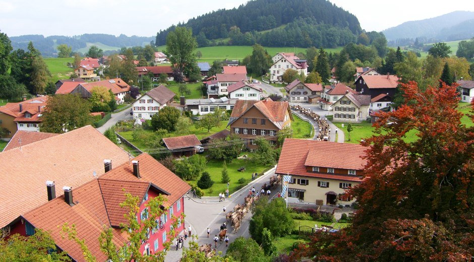 Gemeinde Grünenbach im Westallgäu Viehscheid im Herbst