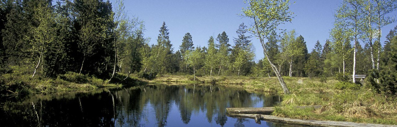 Wildrosenmoos in Oberreute entlang der Westallgäuer Wasserwege