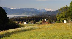 Aussicht auf die Nagelfluhkette © Landkreis Lindau (Bodensee)