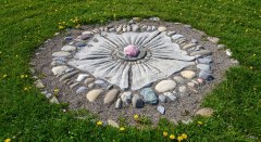 Lutherrose beim Labyrinth © Landkreis Lindau (Bodensee)