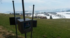 Trilogierundgang Oberreute: "An Grenzen und doch grenzenlos" © Landkreis Lindau (Bodensee)