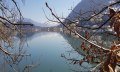 In der Umgebung/ Alpsee © _changed => 14.12.2021 um 07:28 Uhr