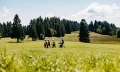 "Wald & Wiese" Premiumwanderweg bei Oberreute © Frederick Sams