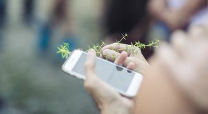 Ihr Smartphone als digitaler Begleiter bei Ihren Ausflügen © Frederick Sams Landkreis Lindau (Bodensee)