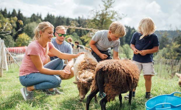 Ausflüge planen - begegnen Sie den Tieren im Westallgäu hautnah