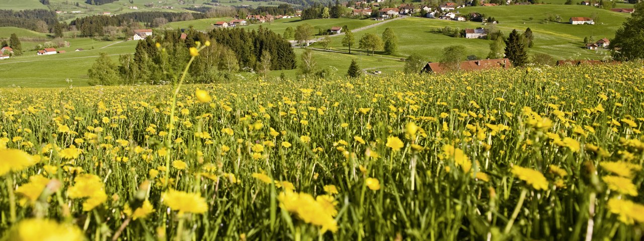 Gastgeber im Westallg&auml;u mit Informationen zu freien Unterk&uuml;nften (Zimmer, Ferienwohnung)
