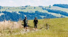 Premium-Spazierwanderweg Sonne & Weide © Landkreis Lindau (Bodensee)