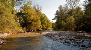 Westallgäuer Wasserwege Untere Argen