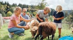 Ausfl&uuml;ge planen - begegnen Sie den Tieren im Westallg&auml;u hautnah