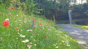 Scheidegger Wasserfaeelle © Scheidegg-Tourismus Scheidegger Wasserfaeelle © Scheidegg-Tourismus