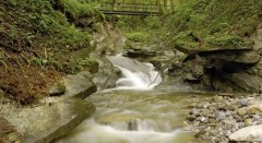 Bäche, Schluchten, Moore - über die Hausbachklamm zum Wildrosenmoos - Westallgäuer Wasserweg 9 © Thomas Gretler