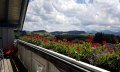 Aussicht vom Balkon © _changed => 14.12.2021 um 07:22 Uhr