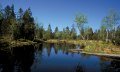 Waldsee in Lindenberg im Allgäu