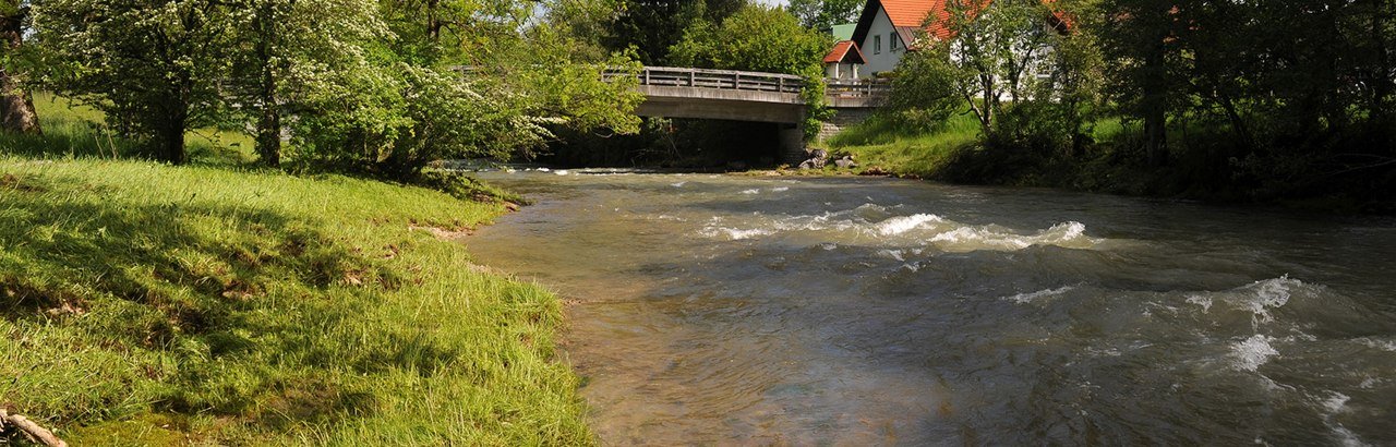 Westallgäuer Wasserwege Untere Argen mit Brücke