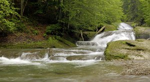 Wanderungen entlang der Westallgäuer Wasserwege