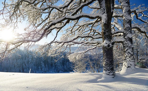 Winterlandschaft im wunderschönen Westallgäu © Thomas Gretler