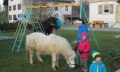 Unser Spielplatz © _changed => 09.05.2017 um 11:29 Uhr