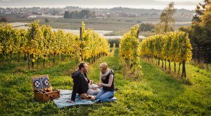 Picknick bei den Plantagen am Bodensee © Frederick Sams