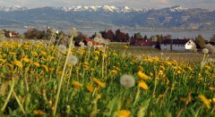 Nonnenhorn-Panorama im Frühling © Tourist-Information Nonnenhorn