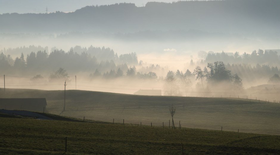Hergensweiler im Nebel