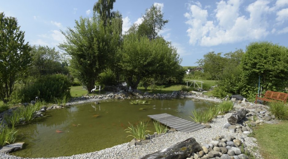 Fischteich © _changed => 14.03.2018 um 11:10 Uhr Fischteich © _changed => 14.03.2018 um 11:10 Uhr