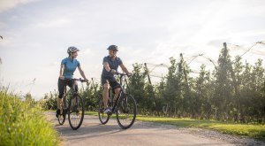 Radfahren, sonnig, Apfelplantage © Landkreis Lindau (Bodensee)